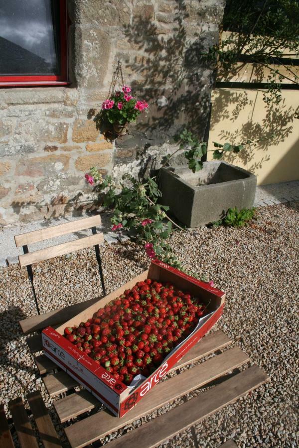 Les Gites D'Hellen Logonna-Daoulas Exterior photo