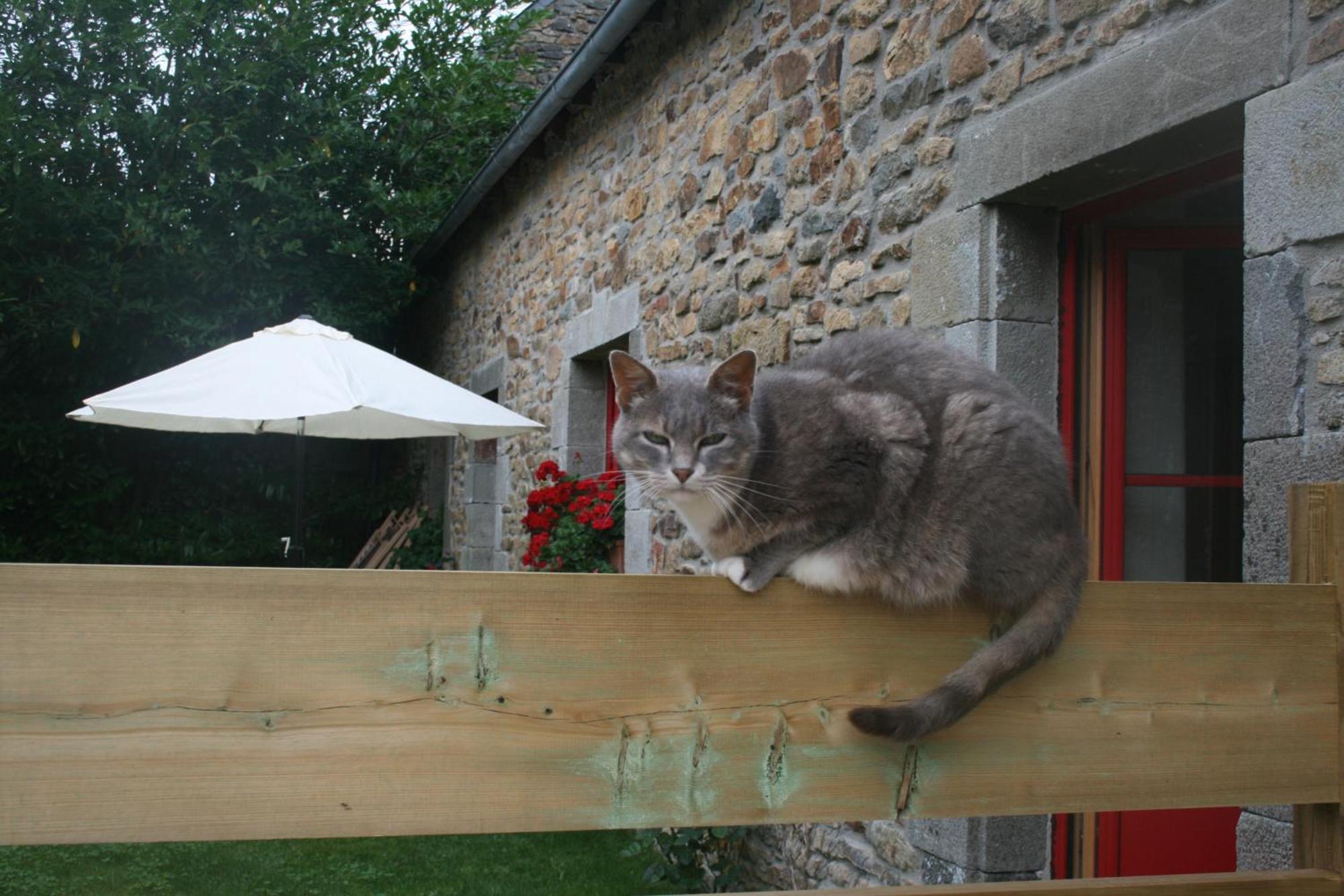 Les Gites D'Hellen Logonna-Daoulas Exterior photo